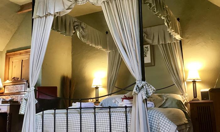 Maggie Plas room